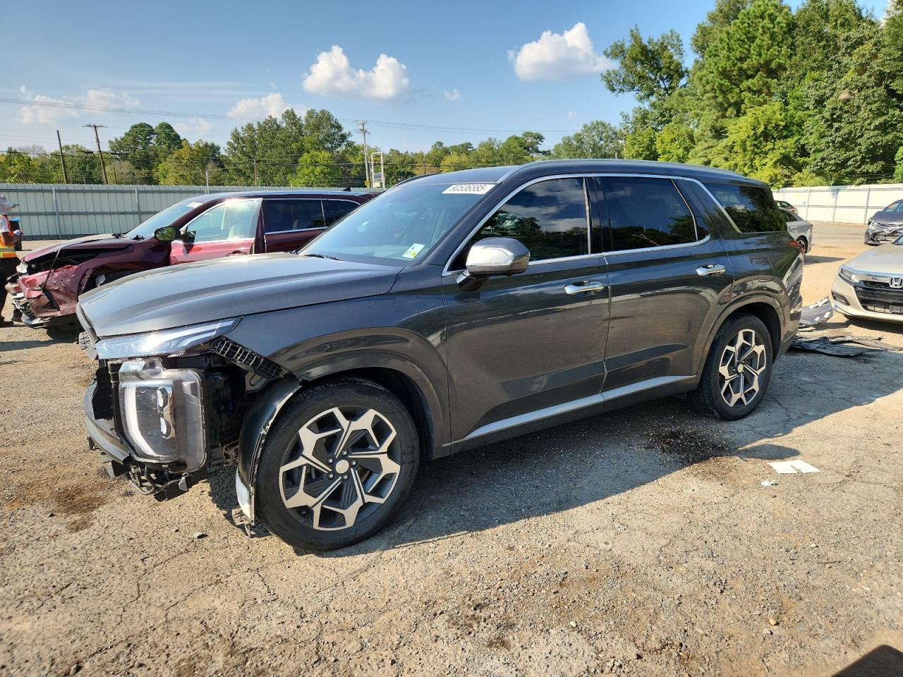 HYUNDAI PALISADE CALLIGRAPHY