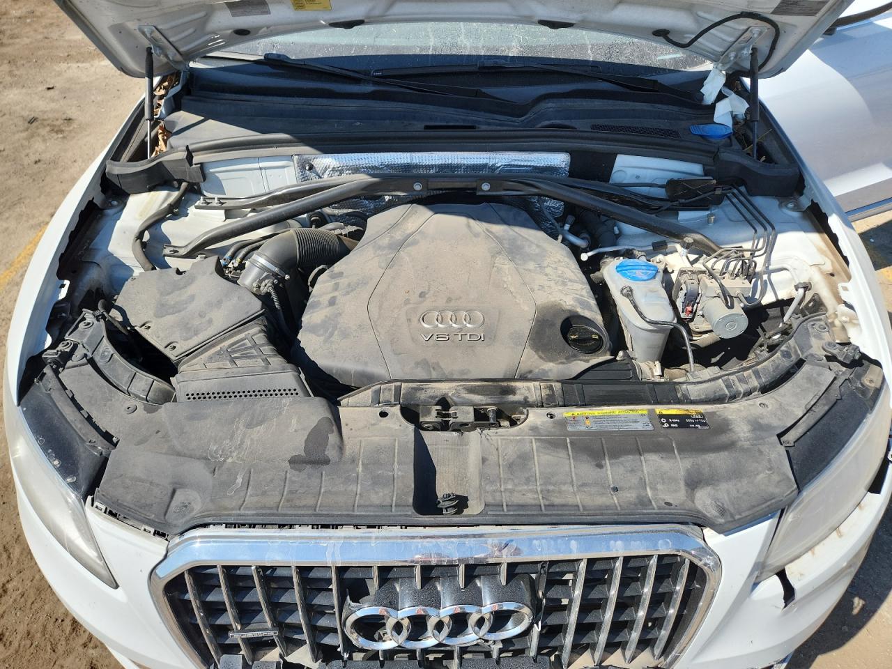 AUDI Q5 TDI PREMIUM PLUS