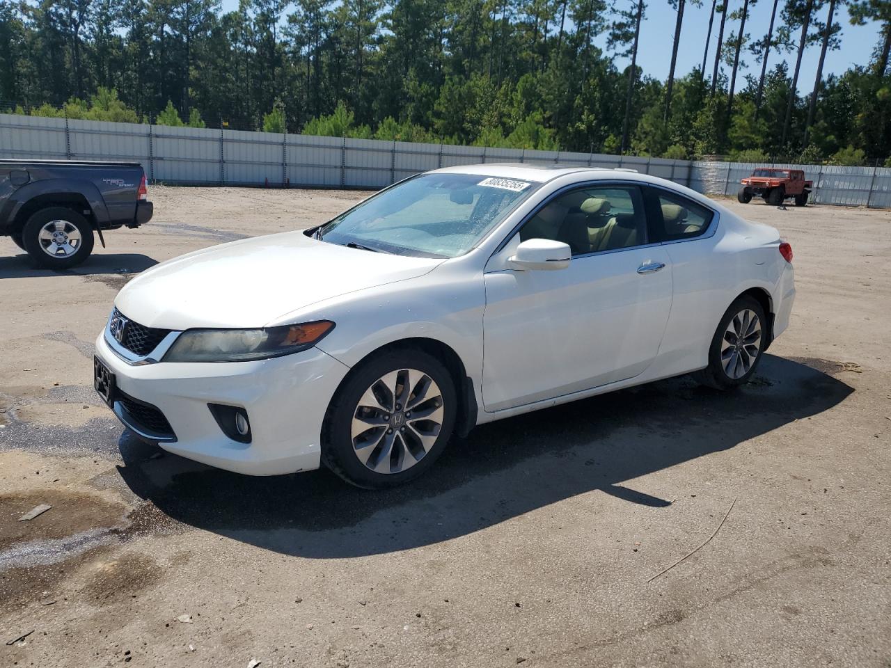 HONDA ACCORD EXL