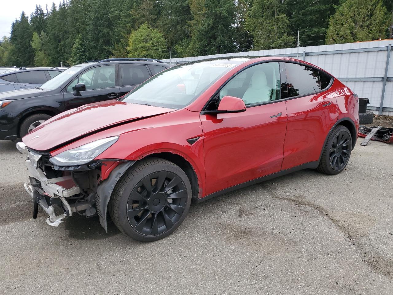 TESLA MODEL Y