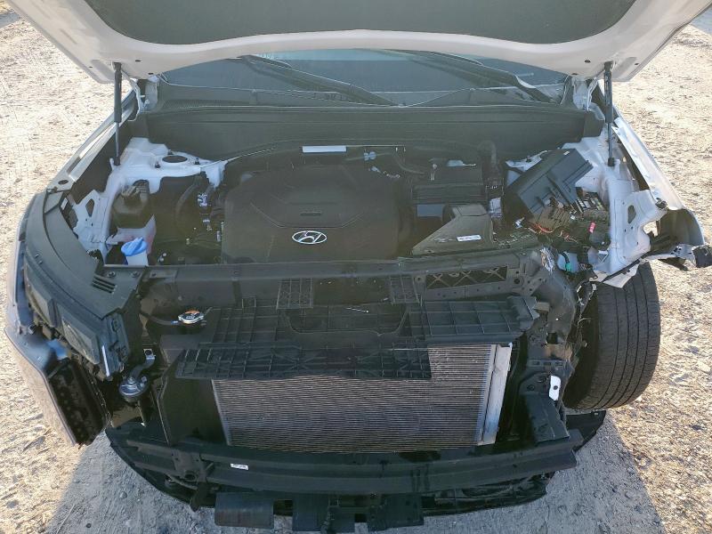 2025 HYUNDAI PALISADE X KM8R34GE5SU901847