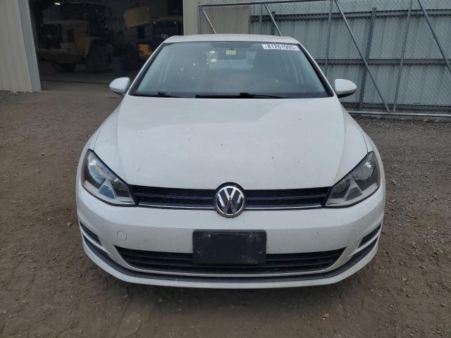 2010 VOLKSWAGEN GOLF - 3VW217AU0FM103552