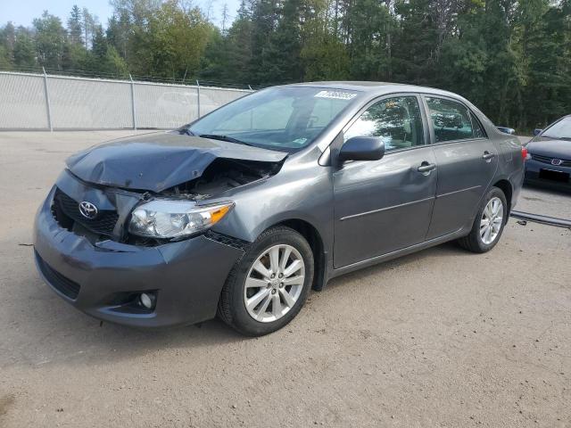 2010 TOYOTA COROLLA BA - 2T1BU4EE4AC348156