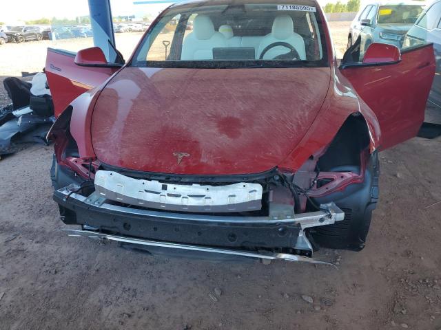 2023 TESLA MODEL Y - 7SAYGDEF4PF947642