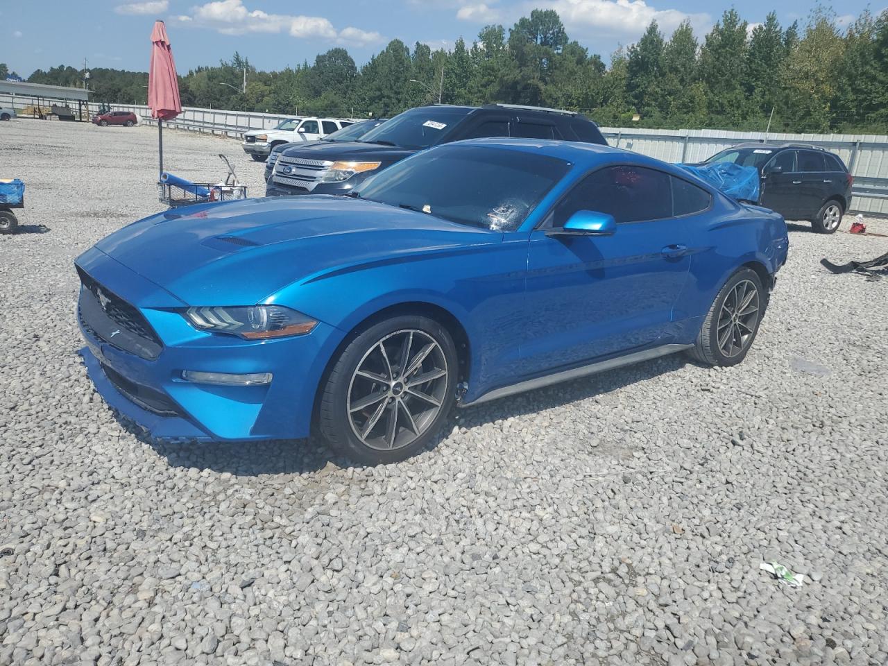 FORD MUSTANG