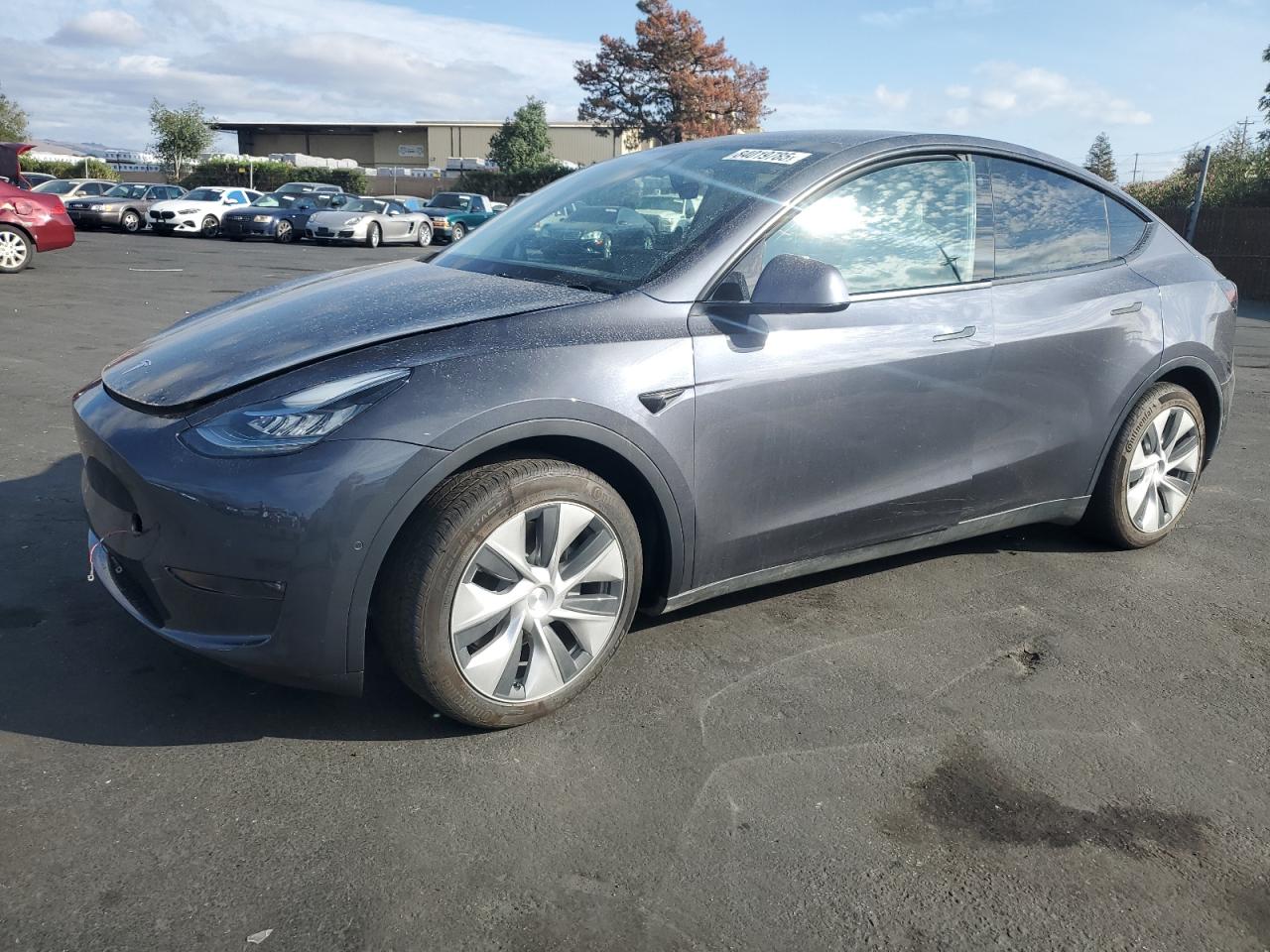 TESLA MODEL Y