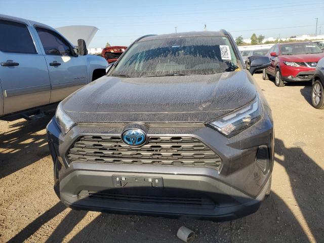 2023 TOYOTA RAV4 XLE #3291336168