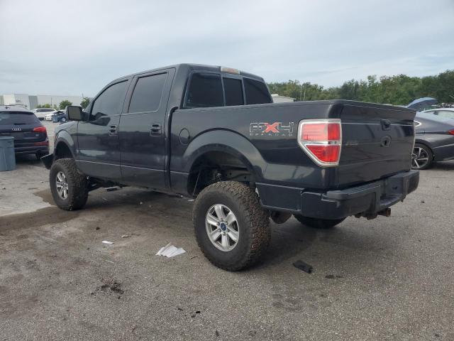 2010 FORD F150 SUPERCREW #3302879903