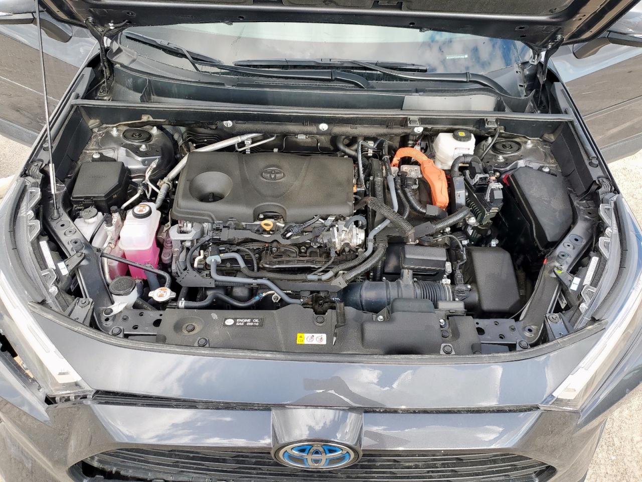 TOYOTA RAV4 XLE PREMIUM