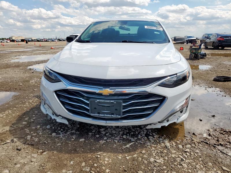 2019 CHEVROLET MALIBU LS - 1G1ZB5ST9KF210983
