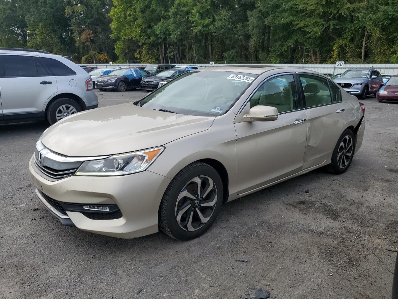HONDA ACCORD EX