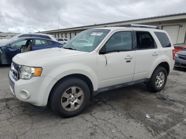 Global Auto Auctions: 2011 FORD ESCAPE LIM