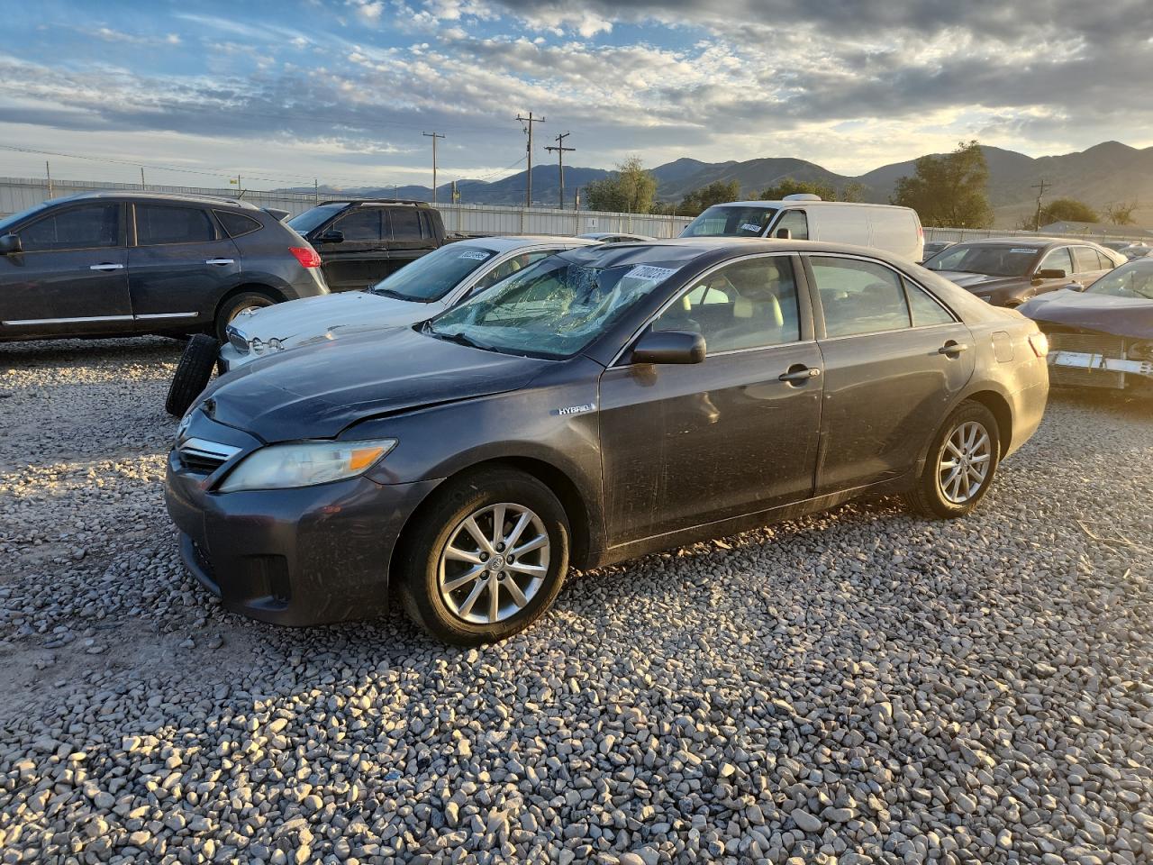TOYOTA CAMRY HYBRID