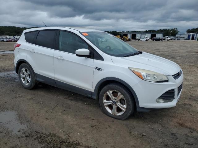 2014 FORD ESCAPE SE - 1FMCU0GXXEUE41344