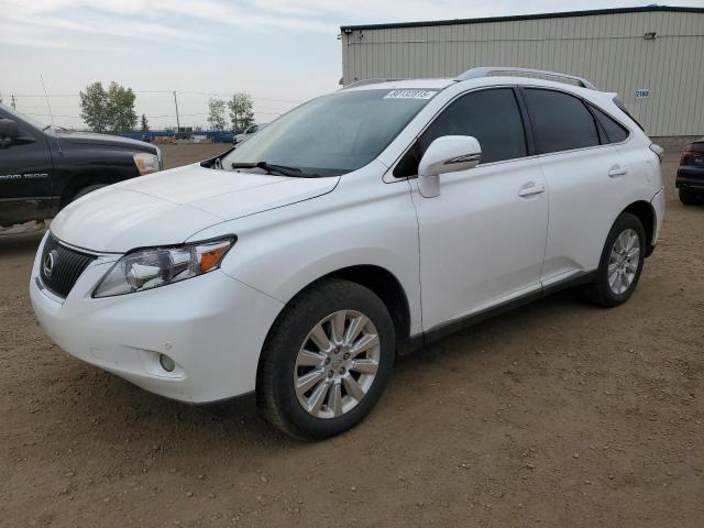 2010 LEXUS RX 350 - 2T2BK1BA4AC040664