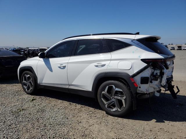 2023 HYUNDAI TUCSON LIMITED 5NMJE3AE9PH269318