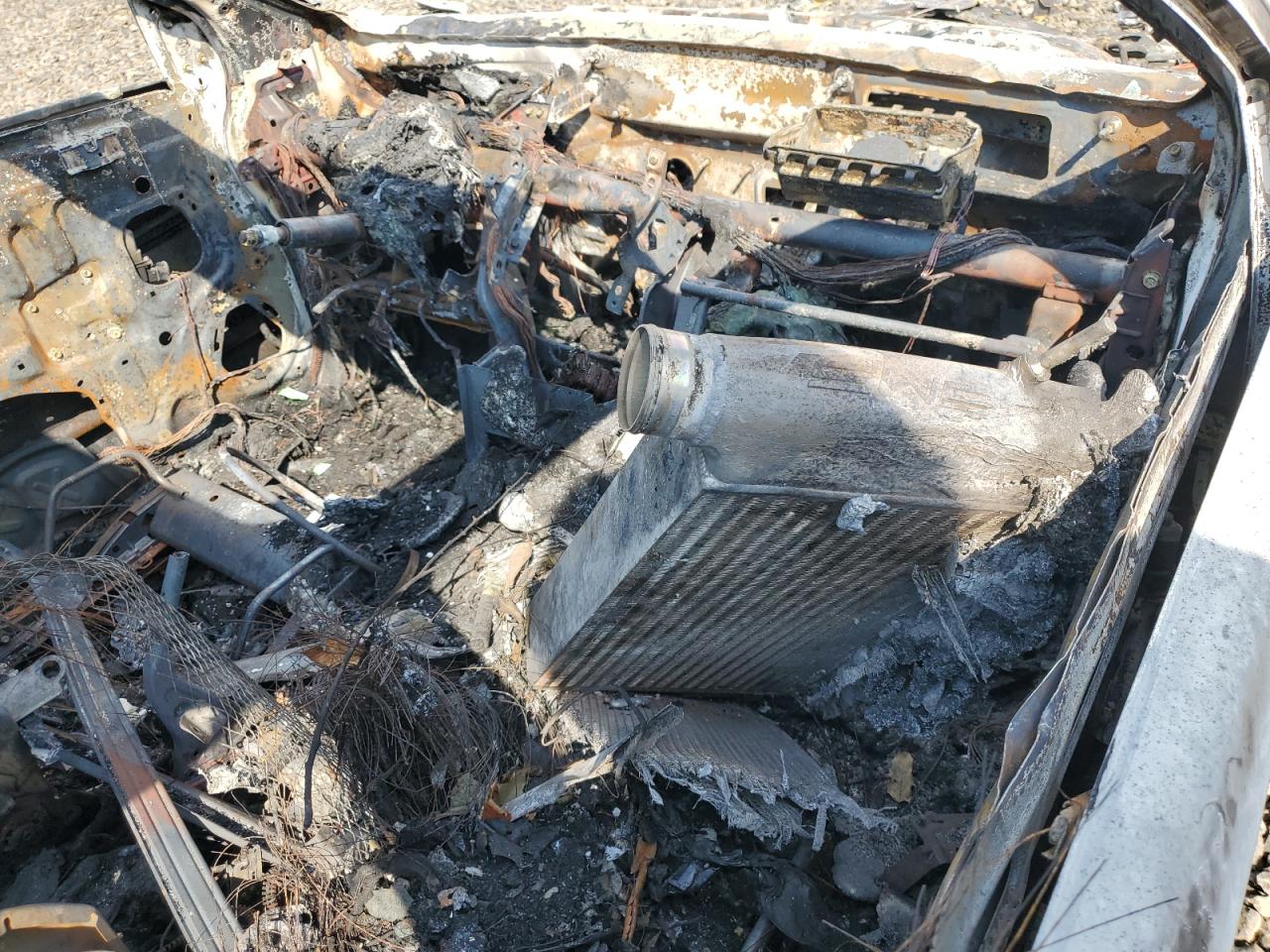 Global Auto Auctions