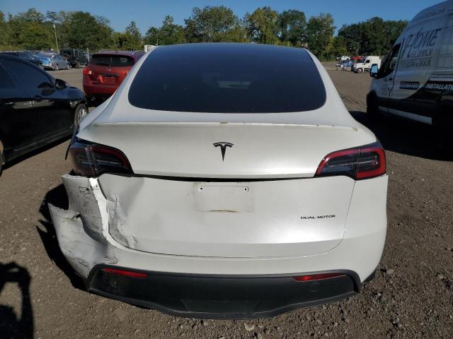 2024 TESLA MODEL Y 7SAYGDEE2RA316993