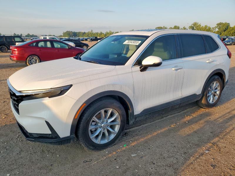 Global Auto Auctions: 2025 HONDA CR-V EXL