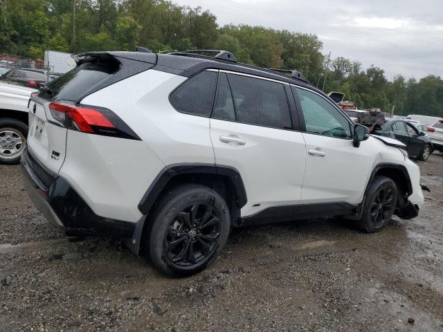 2025 TOYOTA RAV4 XSE #3298145266