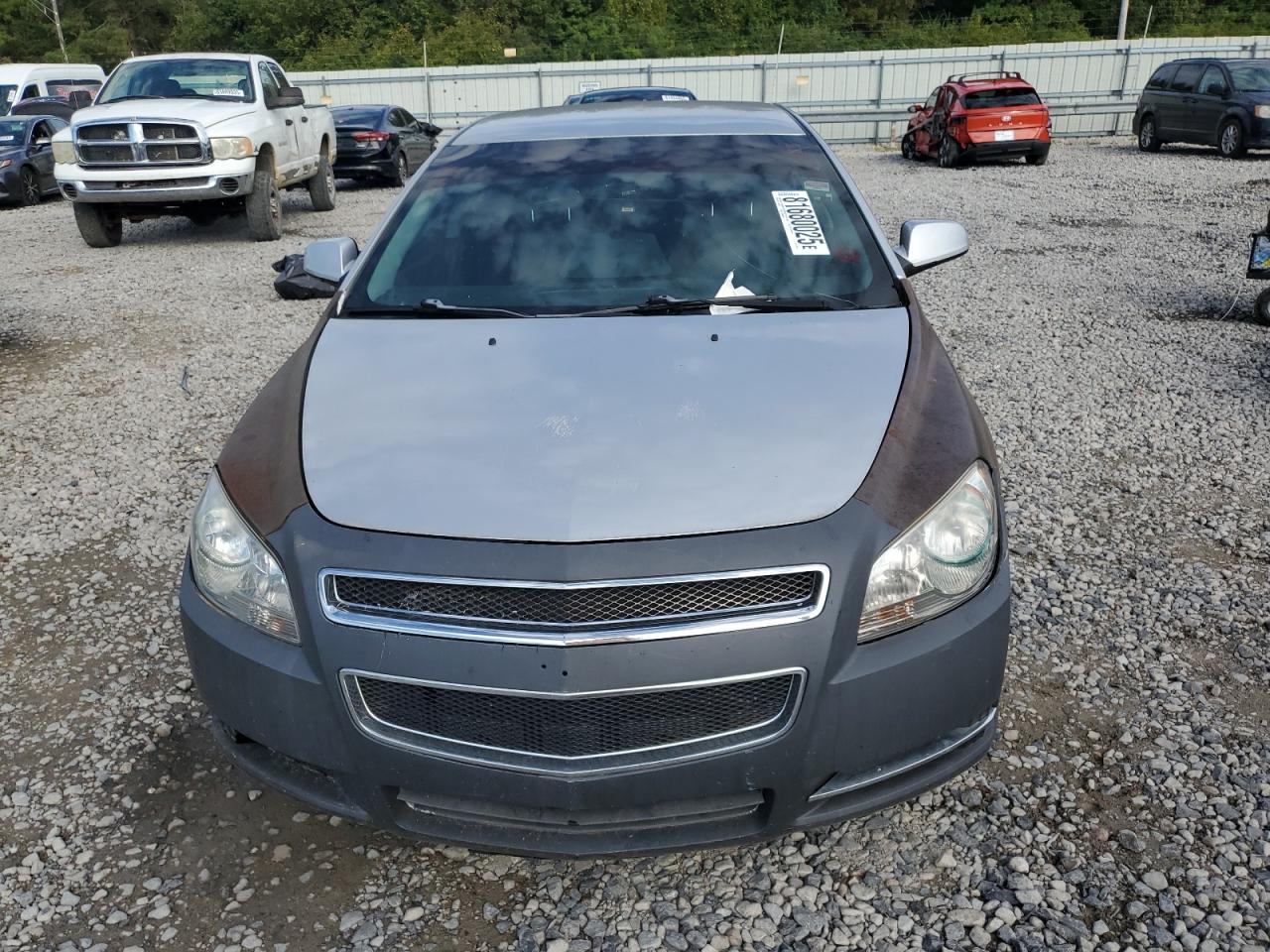 CHEVROLET MALIBU 1LT