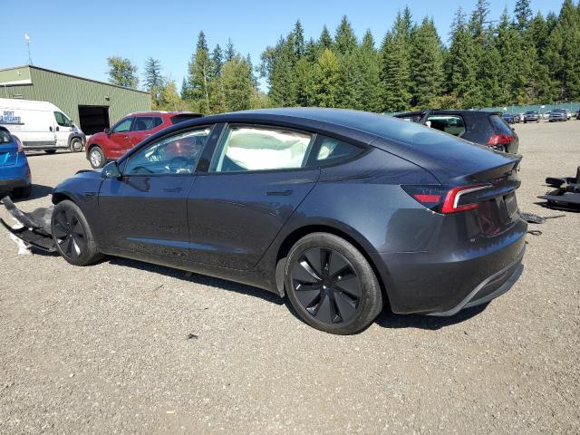 2025 TESLA MODEL 3 #3304864537