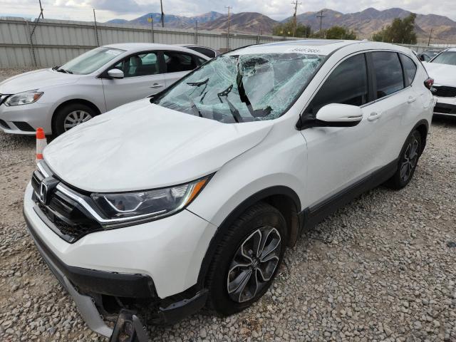 Global Auto Auctions: 2022 HONDA CR-V EXL