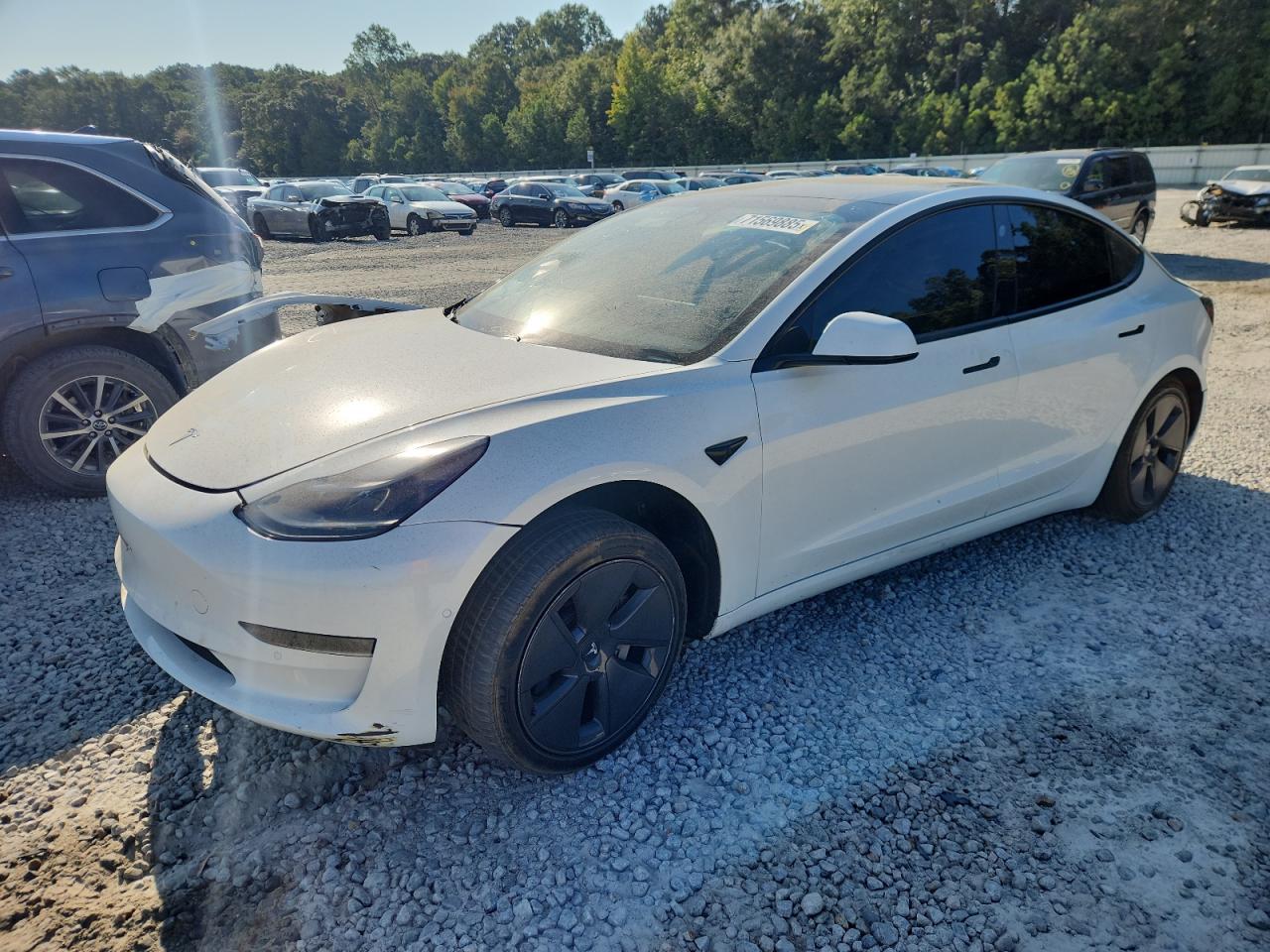 TESLA MODEL 3