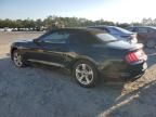 Lot #3301649621 2020 FORD MUSTANG