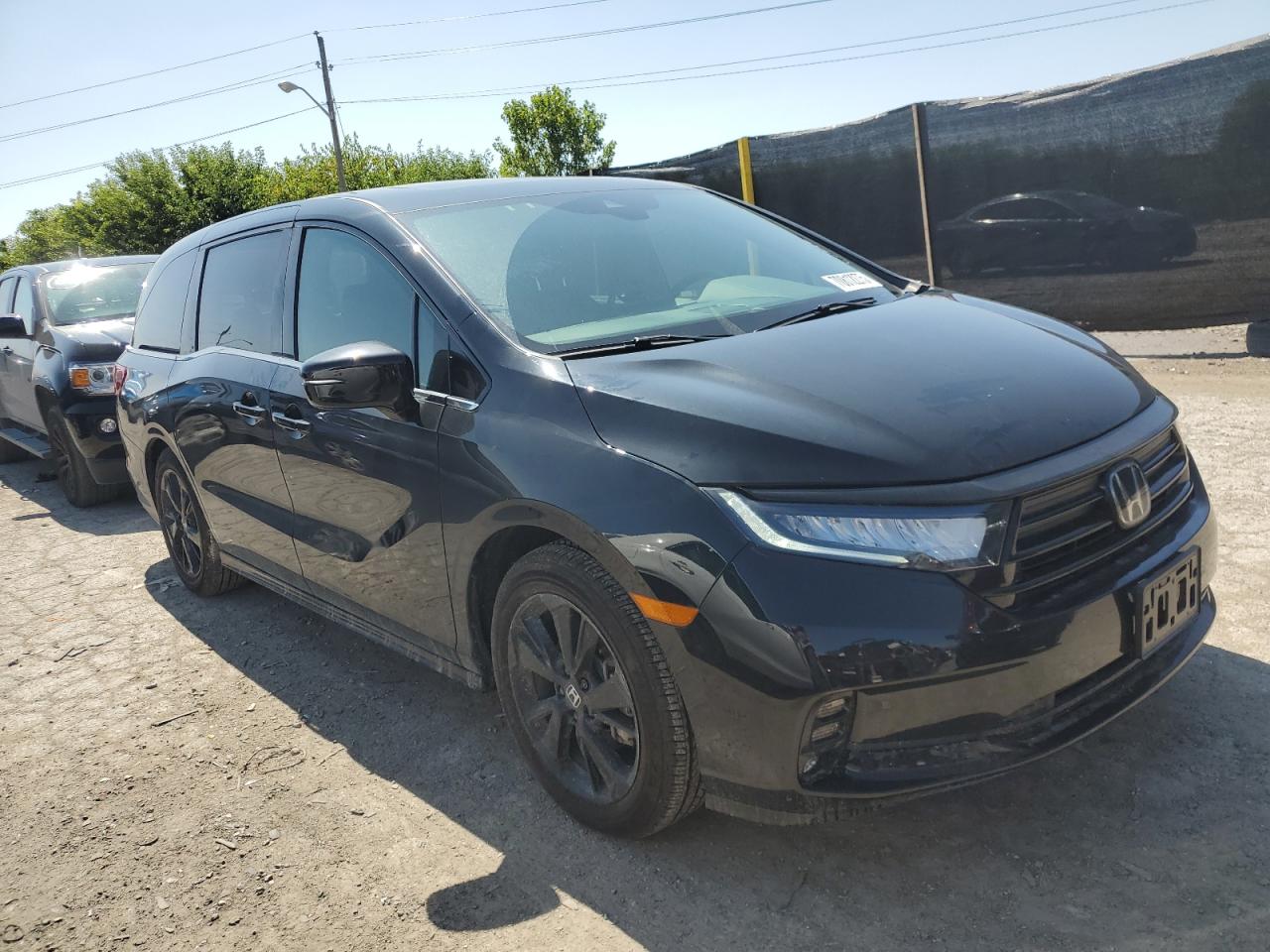 HONDA ODYSSEY SPORT