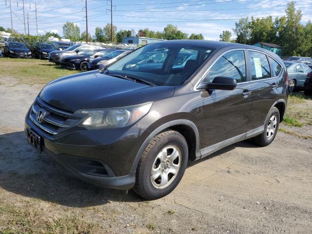 HOND CR-V LX 2013 brown 4dr spor gas 5J6RM4H31DL073930 photo #3