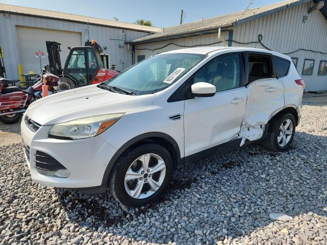 Global Auto Auctions: 2014 FORD ESCAPE SE