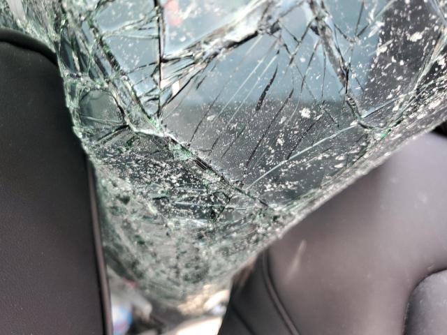 2020 TESLA MODEL Y #3281617388