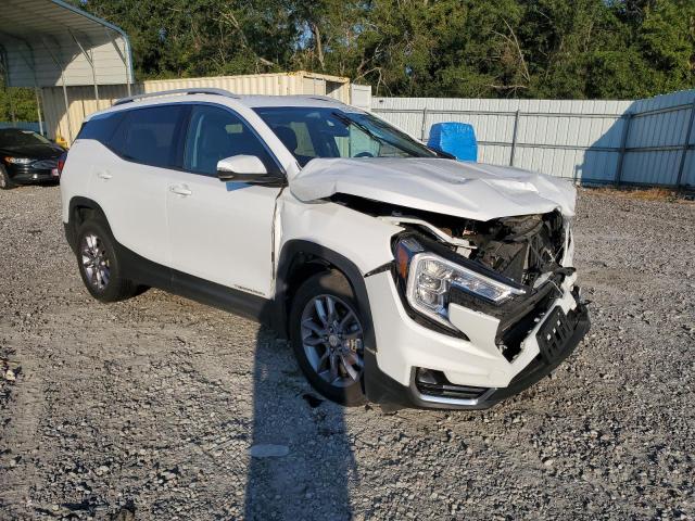 2023 GMC TERRAIN SLT 3GKALVEG9PL171734