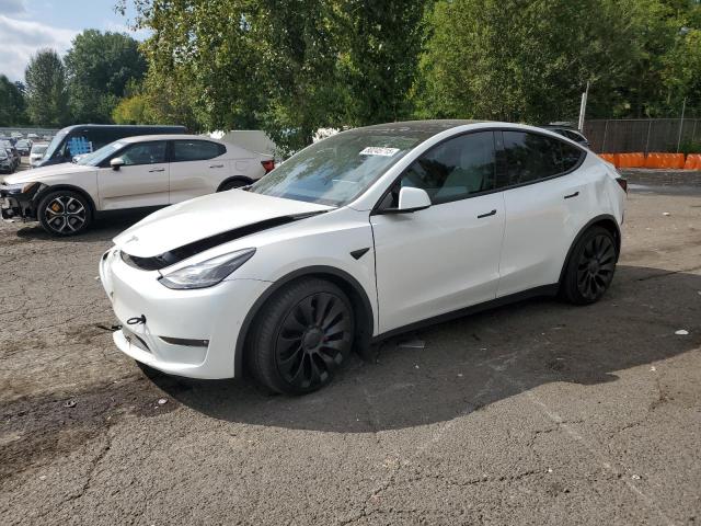 Global Auto Auctions: 2022 TESLA MODEL Y