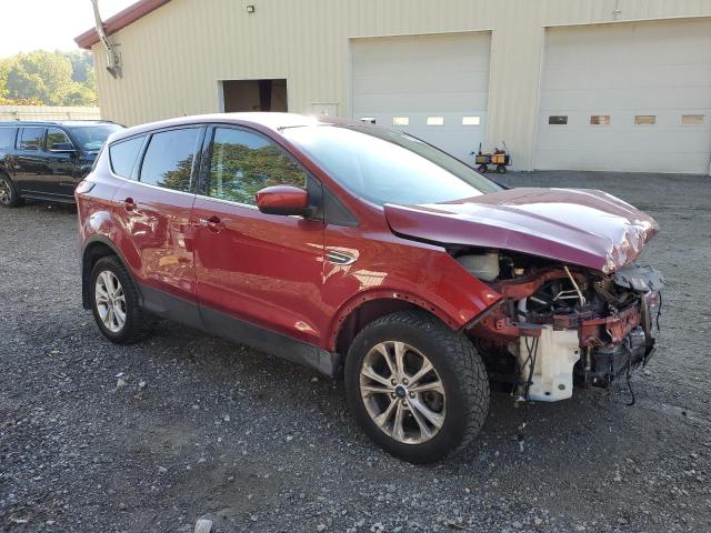 2019 FORD ESCAPE SE - 1FMCU9GD3KUA48632