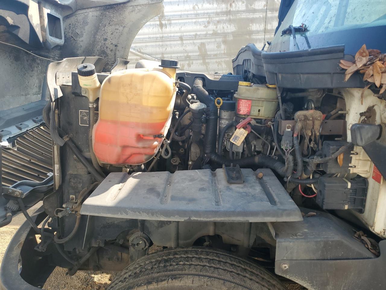 Lot #3236998511 2016 INTL TERRASTAR