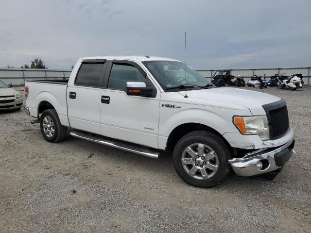 2013 FORD F150 SUPERCREW - 1FTFW1CT4DKG17612