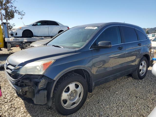 HONDA CR-V LX