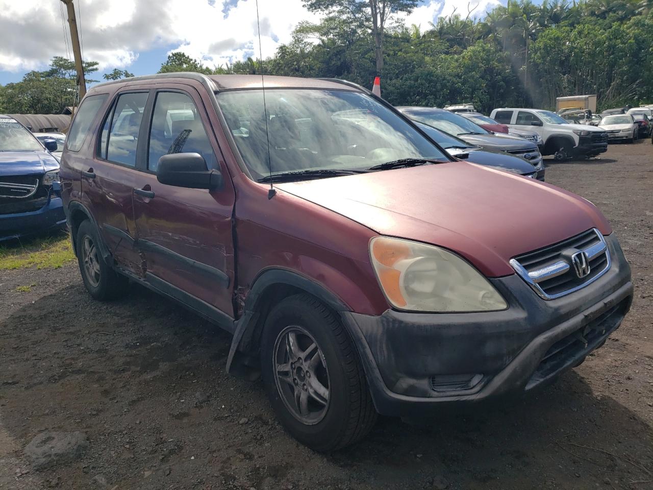 Lot #3269524009 2004 HONDA CR-V LX