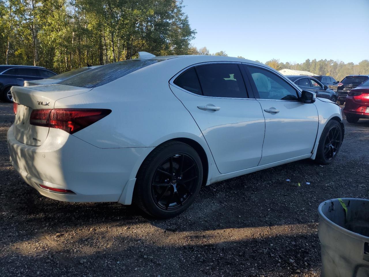 ACURA TLX ADVANCE