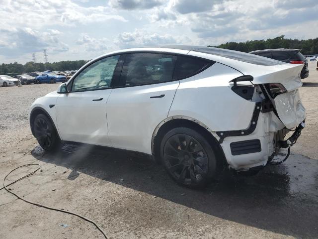 2020 TESLA MODEL Y 5YJYGDEE4LF037164