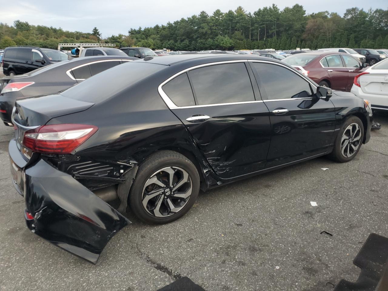 Lot #3254700172 2016 HONDA ACCORD EXL