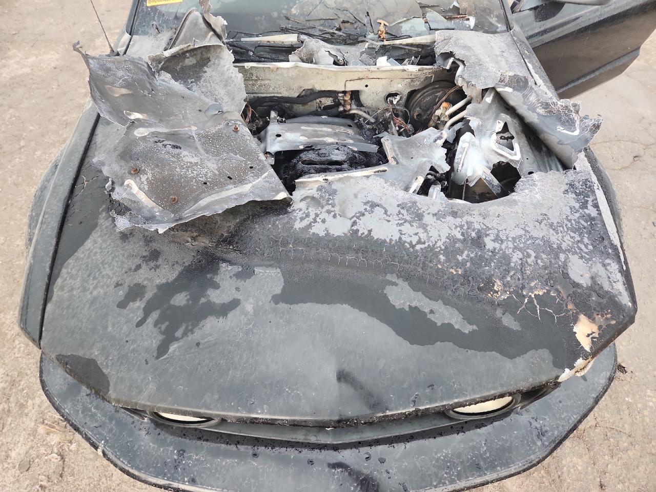 Lot #3287803094 2007 FORD MUSTANG GT