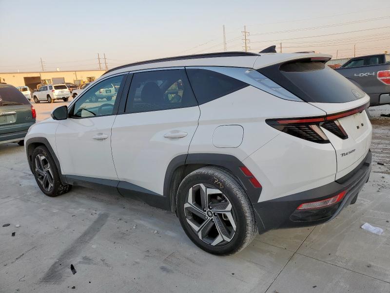 2023 HYUNDAI TUCSON LIM 5NMJE3AE3PH175046