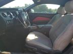 Lot #3306175207 2013 FORD MUSTANG