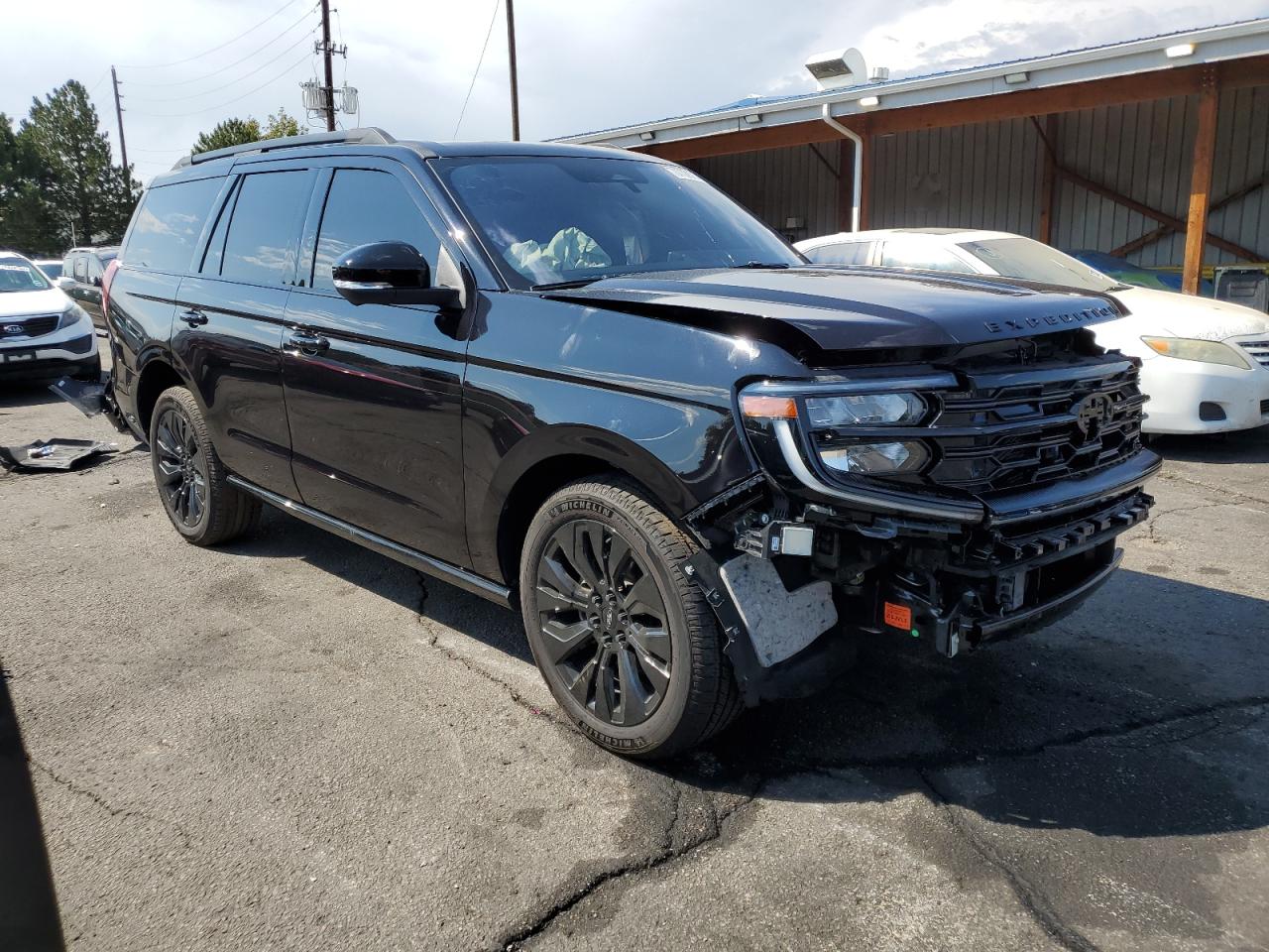 FORD EXPEDITION PLATINUM