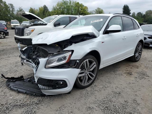 Global Auto Auctions: 2015 AUDI SQ5 PREMIUM PLUS