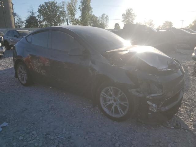 2023 TESLA MODEL Y - 7SAYGDEEXPF689599