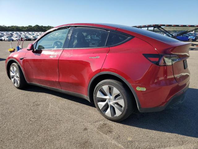 2024 TESLA MODEL Y 7SAYGDEEXRF085070